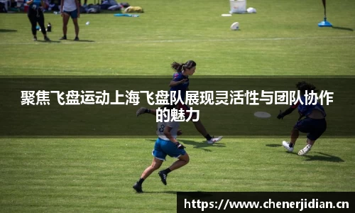 聚焦飞盘运动上海飞盘队展现灵活性与团队协作的魅力