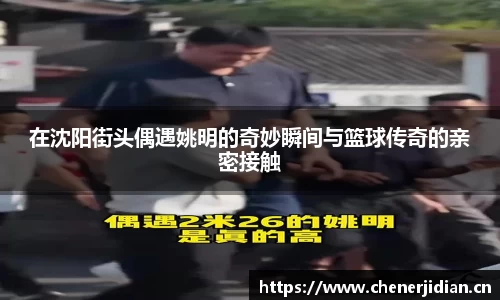yy易游体育