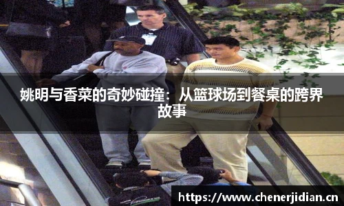 米乐YY易游