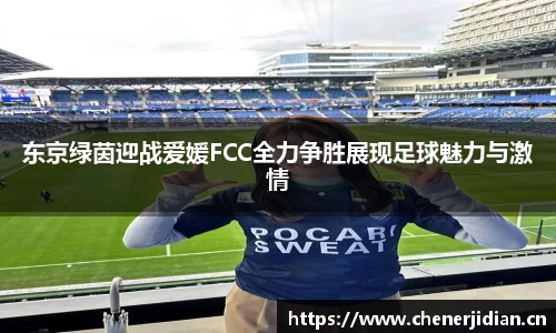 东京绿茵迎战爱媛FCC全力争胜展现足球魅力与激情